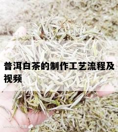 普洱白茶的制作工艺流程及视频