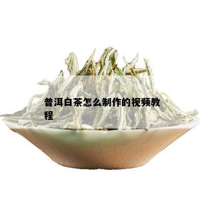 普洱白茶怎么制作的视频教程