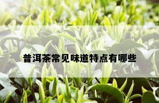 普洱茶常见味道特点有哪些