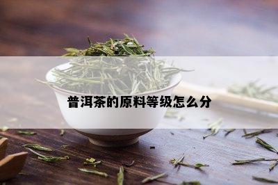 普洱茶的原料等级怎么分