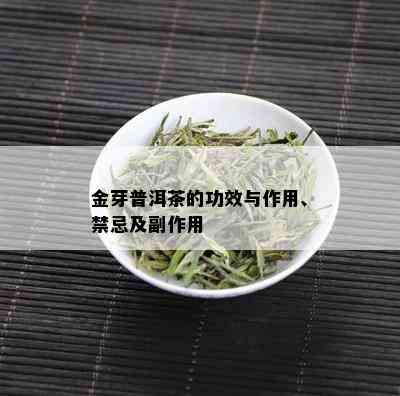 金芽普洱茶的功效与作用、禁忌及副作用