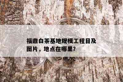 福鼎白茶基地规模工程目及图片，地点在哪里？