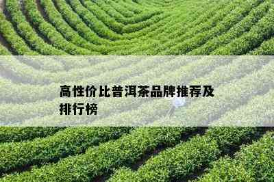 高性价比普洱茶品牌推荐及排行榜