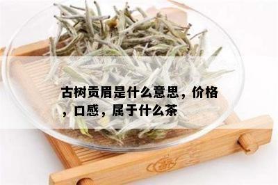 古树贡眉是什么意思，价格，口感，属于什么茶