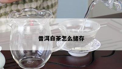 普洱白茶怎么储存