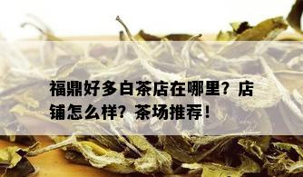 福鼎好多白茶店在哪里？店铺怎么样？茶场推荐！