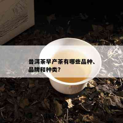 普洱茶早产茶有哪些品种、品牌和种类?