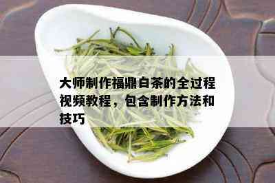 大师制作福鼎白茶的全过程视频教程，包含制作方法和技巧