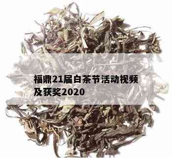 福鼎21届白茶节活动视频及获奖2020