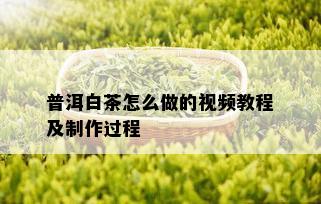 普洱白茶怎么做的视频教程及制作过程