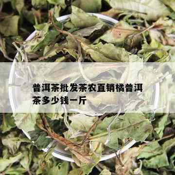 普洱茶批发茶农直销橘普洱茶多少钱一斤