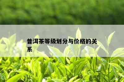 普洱茶等级划分与价格的关系