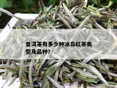 普洱茶有多少种冰岛红茶类型及品种？