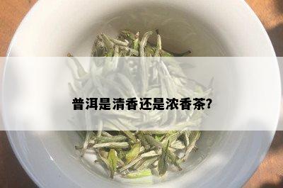 普洱是清香还是浓香茶？