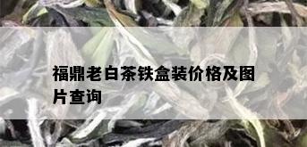 福鼎老白茶铁盒装价格及图片查询