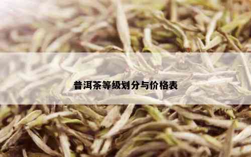 普洱茶等级划分与价格表