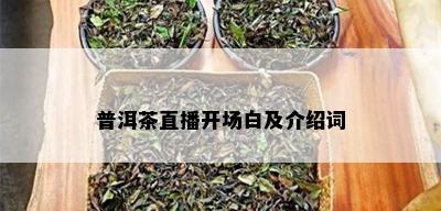 普洱茶直播开场白及介绍词