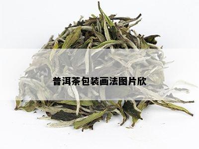 普洱茶包装画法图片欣