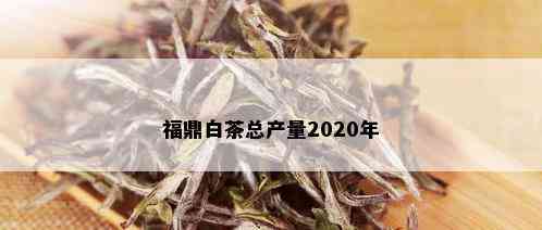 福鼎白茶总产量2020年