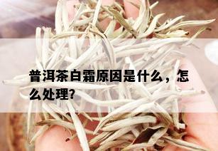 普洱茶白霜原因是什么，怎么处理？