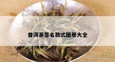 普洱茶签名款式图册大全