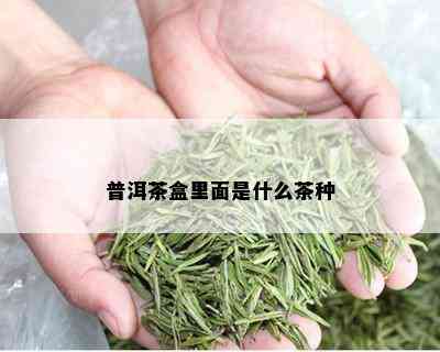 普洱茶盒里面是什么茶种