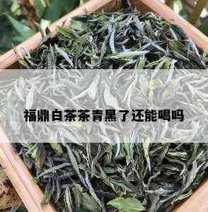 福鼎白茶茶青黑了还能喝吗