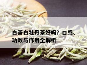 白茶白牡丹茶好吗？口感、功效与作用全解析