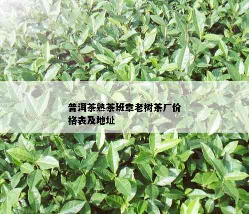 普洱茶熟茶班章老树茶厂价格表及地址