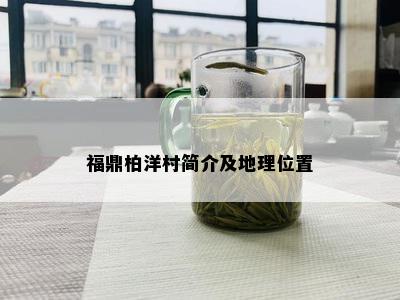 福鼎柏洋村简介及地理位置