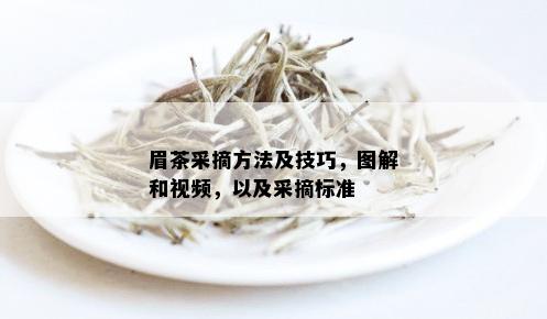 眉茶采摘方法及技巧，图解和视频，以及采摘标准