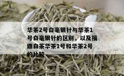 华茶2号白毫银针与华茶1号白毫银针的区别，以及福鼎白茶华茶1号和华茶2号的比较