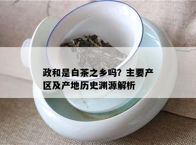 政和是白茶之乡吗？主要产区及产地历史渊源解析