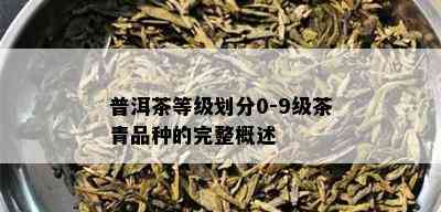 普洱茶等级划分0-9级茶青品种的完整概述