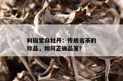 利园堂白牡丹：传统名茶的珍品，如何正确品鉴？