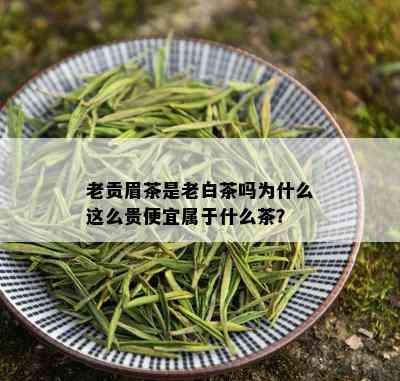 老贡眉茶是老白茶吗为什么这么贵便宜属于什么茶？