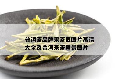 普洱茶品牌采茶匠图片高清大全及普洱采茶风景图片