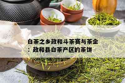 白茶之乡政和斗茶赛与茶企：政和县白茶产区的茶饼