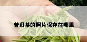 普洱茶的照片保存在哪里