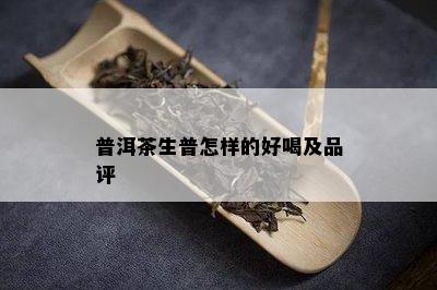 普洱茶生普怎样的好喝及品评