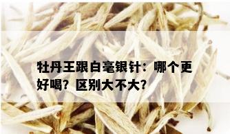 牡丹王跟白毫银针：哪个更好喝？区别大不大？