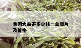 普洱大益茶多少钱一盒图片及价格