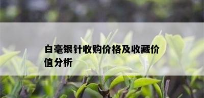 白毫银针收购价格及收藏价值分析