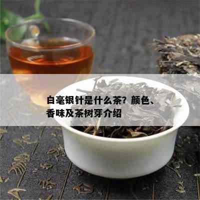 白毫银针是什么茶？颜色、香味及茶树芽介绍