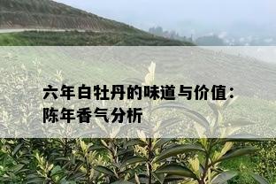 六年白牡丹的味道与价值：陈年香气分析