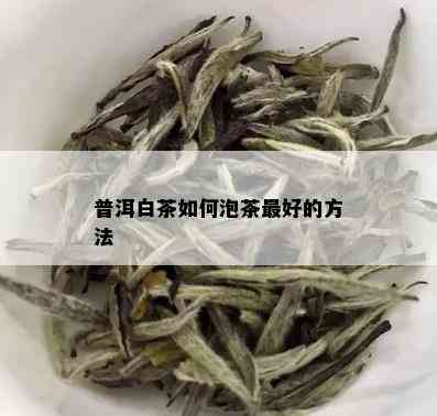 普洱白茶如何泡茶更好的方法