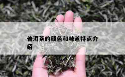 普洱茶的颜色和味道特点介绍