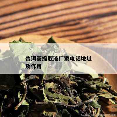 普洱茶提取液厂家电话地址及作用