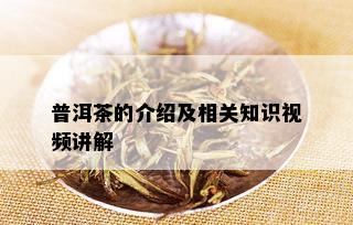 普洱茶的介绍及相关知识视频讲解