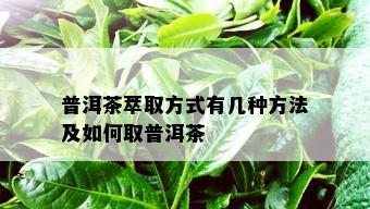 普洱茶萃取方式有几种方法及如何取普洱茶